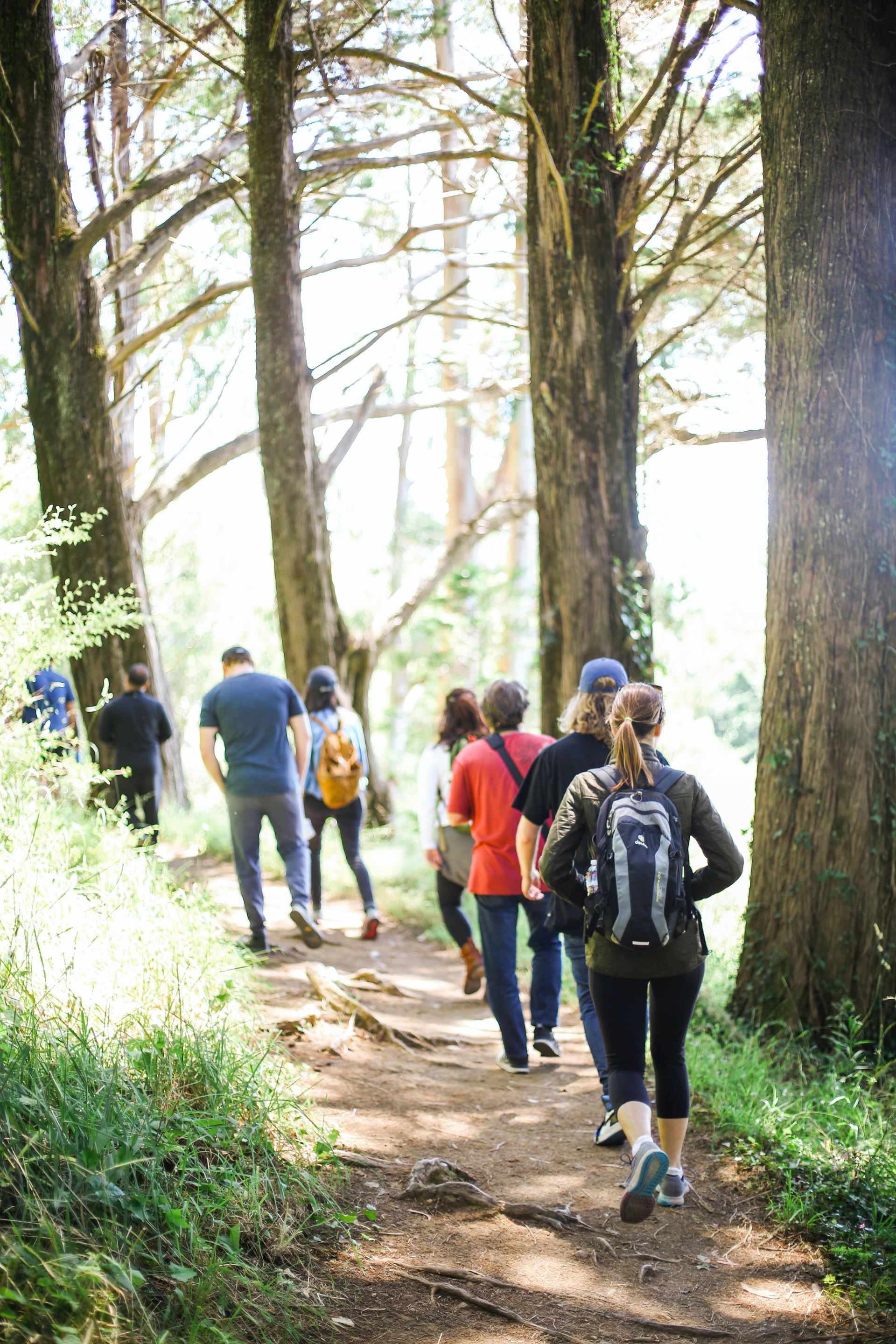 a group hiking in the woods